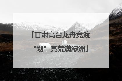 甘肃高台龙舟竞渡“划”亮荒漠绿洲